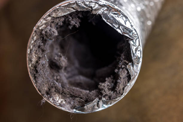 Best Air Duct Cleaning Near Me  in Tarpey Village, CA