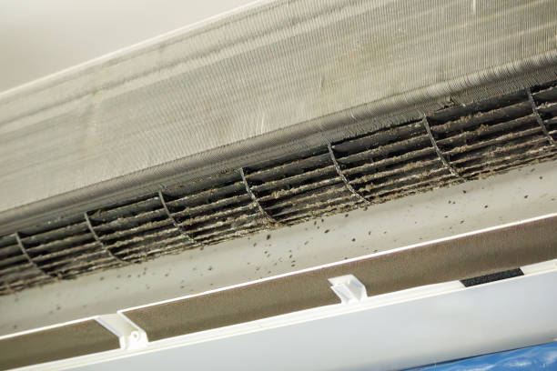 Best Affordable Air Duct Cleaning  in Tarpey Village, CA